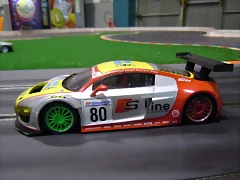 DSCN2196 DSCN2196