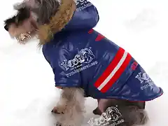 Royal_air_force_jacket_for_pets_dog