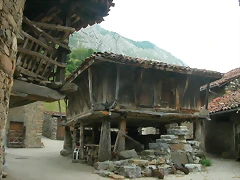 DSCN3921 DSCN3921