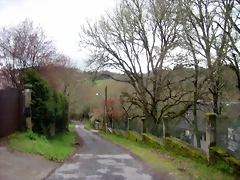 IMG_2348 IMG_2348
