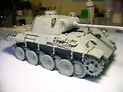 Panther D_B (12)