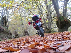 IMG_9140 IMG_9140