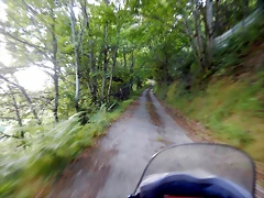 DSCN9265 DSCN9265