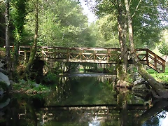 IMG_1571 IMG_1571