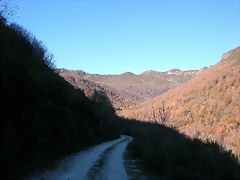 DSCN6887 DSCN6887