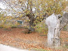 DSCN9522 DSCN9522