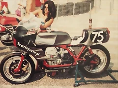 motoguzzitranspetrol motoguzzitranspetrol