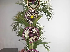 joyonaque joyonaque