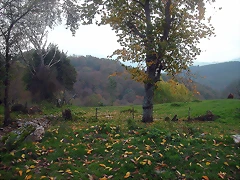 DSCN4582 DSCN4582