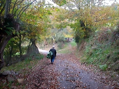 DSCN4586 DSCN4586