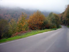 DSCN4602 DSCN4602
