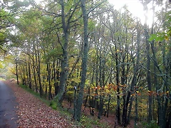 DSCN4592 DSCN4592