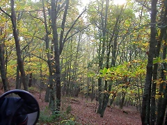 DSCN4593 DSCN4593