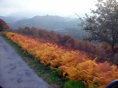 DSCN4596 DSCN4596