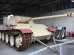 panther1