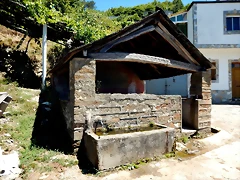 DSCN3928 DSCN3928