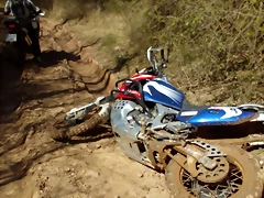 IMG_20210408_131827 IMG_20210408_131827