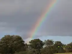 32, arco iris izqda,  marca