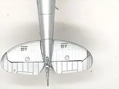 SDC39537 SDC39537
