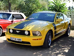 34