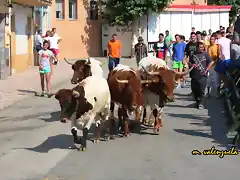 06, cabestros por la avenida, marca