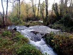 DSCN0527 DSCN0527