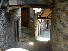 DSCN5810