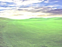 1581260039_7fb36100f0_o 1581260039_7fb36100f0_o
