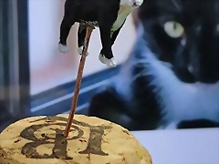 1724866896664 1724866896664