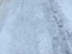 Video Hugo IG Stories 1-2-2017 (6) Video Hugo IG Stories 1-2-2017 (6)