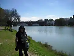 Puente de Triana de fondo