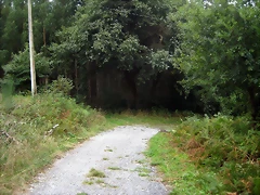 IMG_0256 IMG_0256