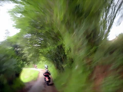 DSCN4565 DSCN4565