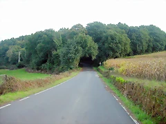 DSCN5329