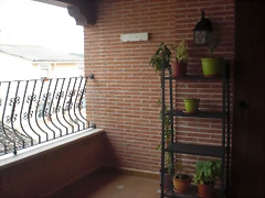CIMG2281 CIMG2281