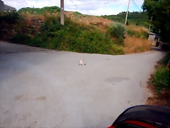 DSCN6376 DSCN6376
