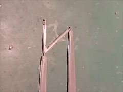 342 342