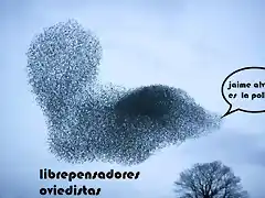 librepensadores