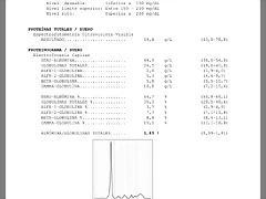 1C243FC2-E66C-40F5-94CF-8B7AF892EC05 1C243FC2-E66C-40F5-94CF-8B7AF892EC05