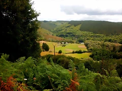 DSCN6657 DSCN6657