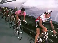 Giro-Moser-Lejarreta