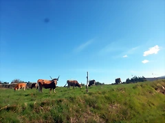 DSCN4671 DSCN4671