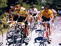 Perico-Vuelta1989-Navacerrada-Santos Hern?ndez-Pino-Echabe