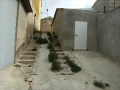 calle solidaridad. calle solidaridad.