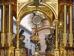 DSCN1394 DSCN1394