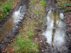 DSCN3005 DSCN3005