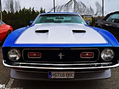 DSC_0626 DSC_0626