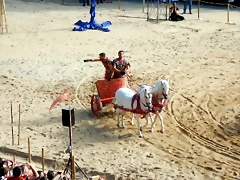 DSCN3949 DSCN3949