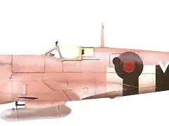 spitfire rosa
