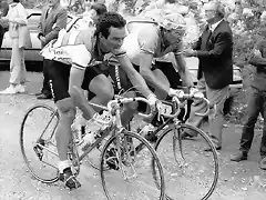 Tour1984-Hinault-Fignon